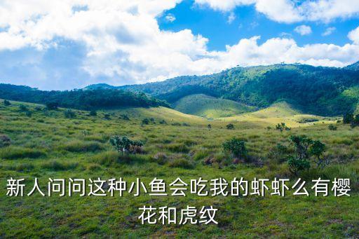 什么鱼吃蛋白虫，有效除蛋白虫不伤鱼
