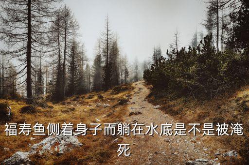 福寿鱼侧着身子而躺在水底是不是被淹死