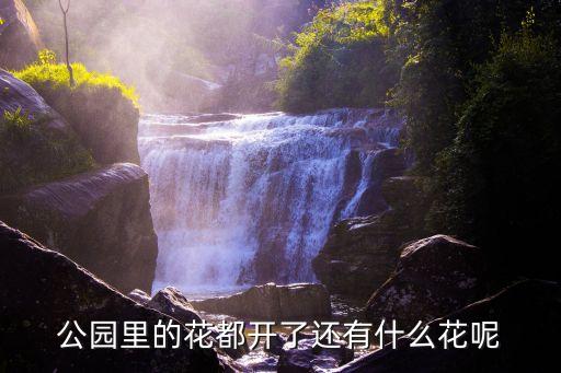 公园里的花都开了还有什么花呢