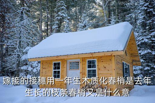 嫁接的接穗用一年生木质化春梢是去年生长的枝条春梢又是什么意