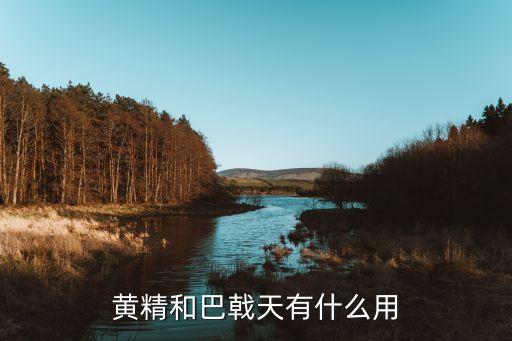 黄精的作用，黄精和巴戟天有什么用