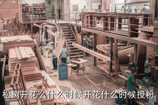罗汉松开花图片，请教罗汉松会开花吗
