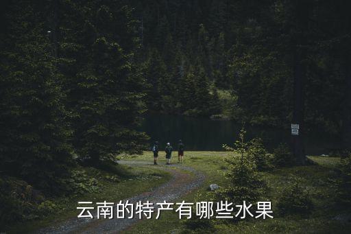云南特色水果，云南特产水果是什么除了苹果以外