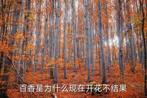 百香星为什么现在开花不结果
