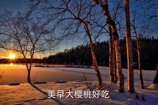 美早樱桃，美早大樱桃好吃