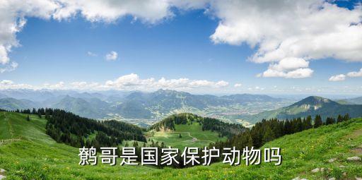 鹩哥是国家保护动物吗