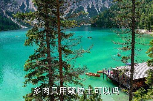 颗粒土，颗粒土种多肉好扎根吗