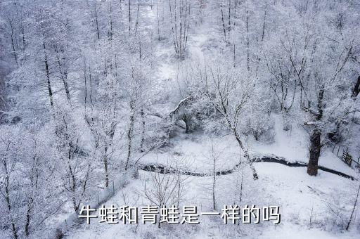 青蛙和牛蛙，青蛙和牛蛙哪里不一样