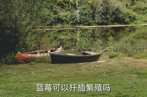 蓝莓扦插，蓝莓怎么样插枝