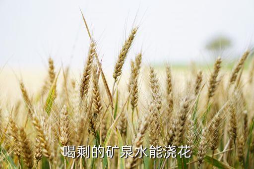 喝剩的矿泉水能浇花