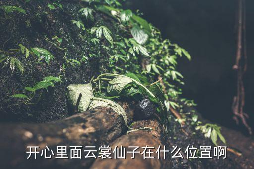 开心里面云裳仙子在什么位置啊