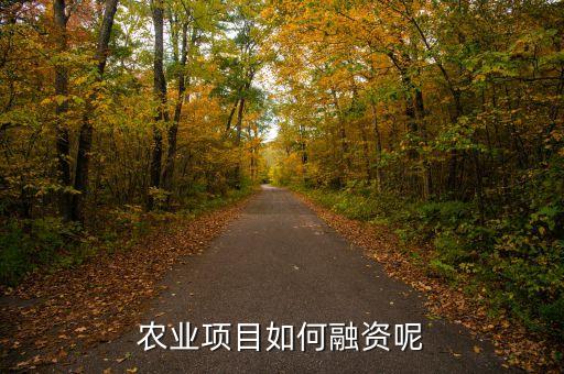 农业项目如何融资呢