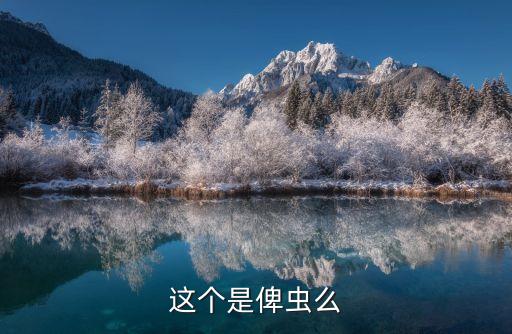 俾虫，俾虫是什么虫有没别的名字在哪个区域地方有