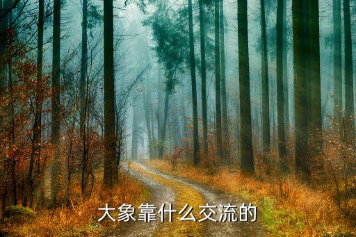 大象迁徙，大象是迁徙的动物吗