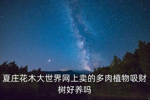 吸财树图片，谁能告诉我这是什么植物
