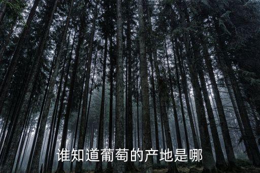 谁知道葡萄的产地是哪