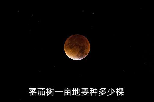 蕃茄树一亩地要种多少棵