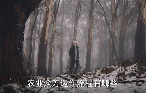 农业众筹运作流程有哪些