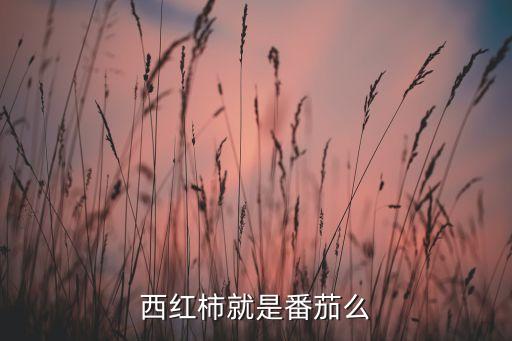 番茄是西红柿吗，番茄是西红柿吗