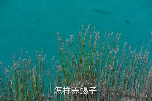 养殖蝎子，怎样养蝎子
