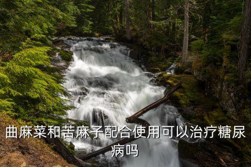 曲麻菜和苦麻子配合使用可以治疗糖尿病吗