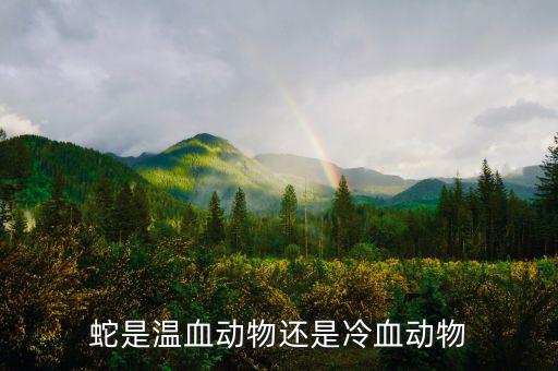 蛇是冷血动物吗，蛇是不是冷血动物 不
