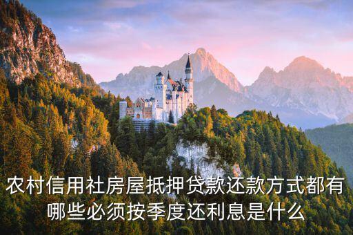 农业信用社怎么还贷，青州东夏农村信用社怎样还贷