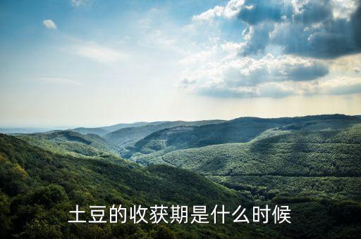 土豆的收获期是什么时候