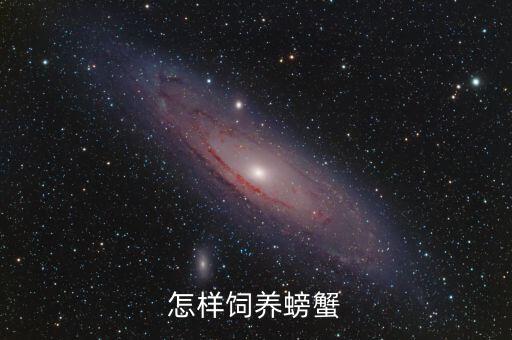 怎么养螃蟹，怎样饲养螃蟹