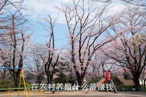 种养殖，种植与养殖类专业哪个相对好些呢
