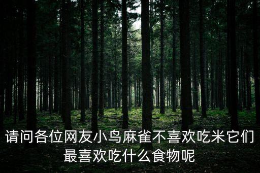 请问各位网友小鸟麻雀不喜欢吃米它们最喜欢吃什么食物呢