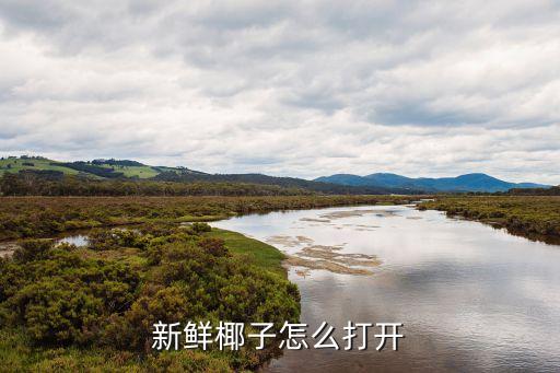 新鲜椰子怎么打开