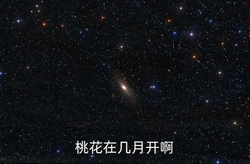 桃花什么时候开花，桃花在几月盛开