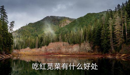 吃红苋菜有什么好处