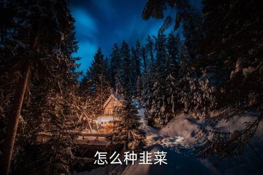韭菜种植，怎么种韭菜