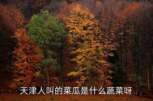 菜瓜，菜瓜是什么
