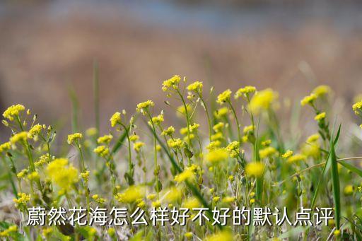 蔚然花海怎么样好不好的默认点评