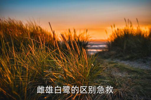 白鹭分，白鹭分天水黄叶落萧山对联