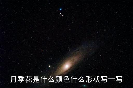 大月季花，月季花花是什么颜色