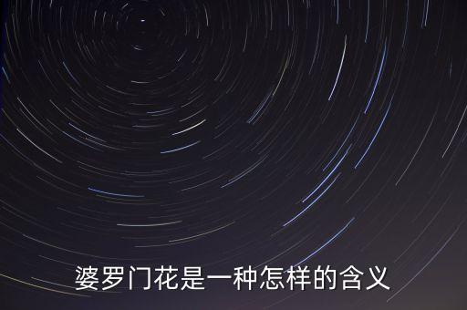 婆罗门花是一种怎样的含义