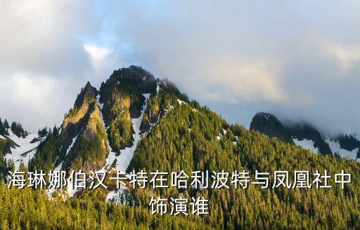 海琳娜，海琳娜伯汉卡特在哈利波特与凤凰社中饰演谁