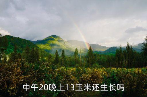 玉米生长温度，玉米2650度左右是甚么意思