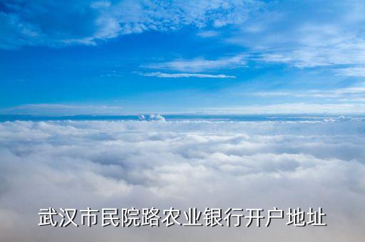 武汉农业滴灌怎么选车，武汉循礼门附近哪里有农业银行