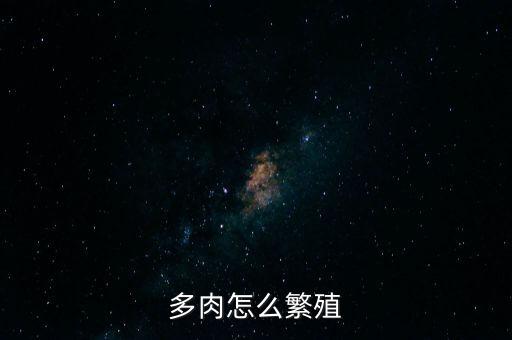多肉繁殖，多肉植物怎么繁殖