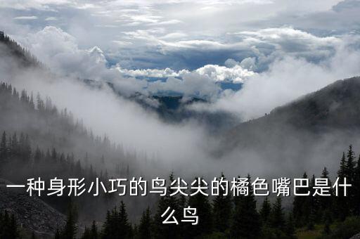一种身形小巧的鸟尖尖的橘色嘴巴是什么鸟