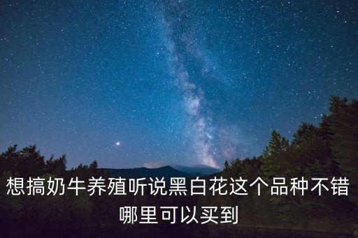 黑白花，想搞奶牛养殖听说黑白花这个品种不错哪里可以买到