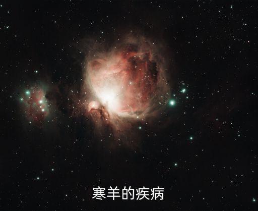 寒羊的疾病