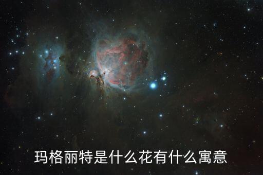 玛格丽特是什么花有什么寓意