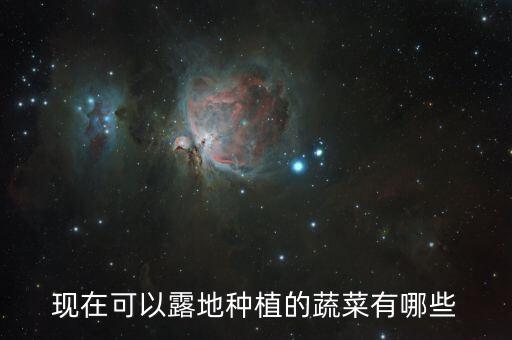 现在可以露地种植的蔬菜有哪些