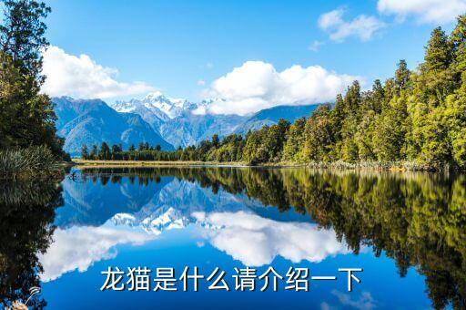 龙猫是什么动物，龙猫是什么请介绍一下